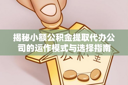 浙江揭秘小额公积金提取代办公司的运作模式与选择指南