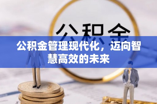 浙江公积金管理现代化，迈向智慧高效的未来